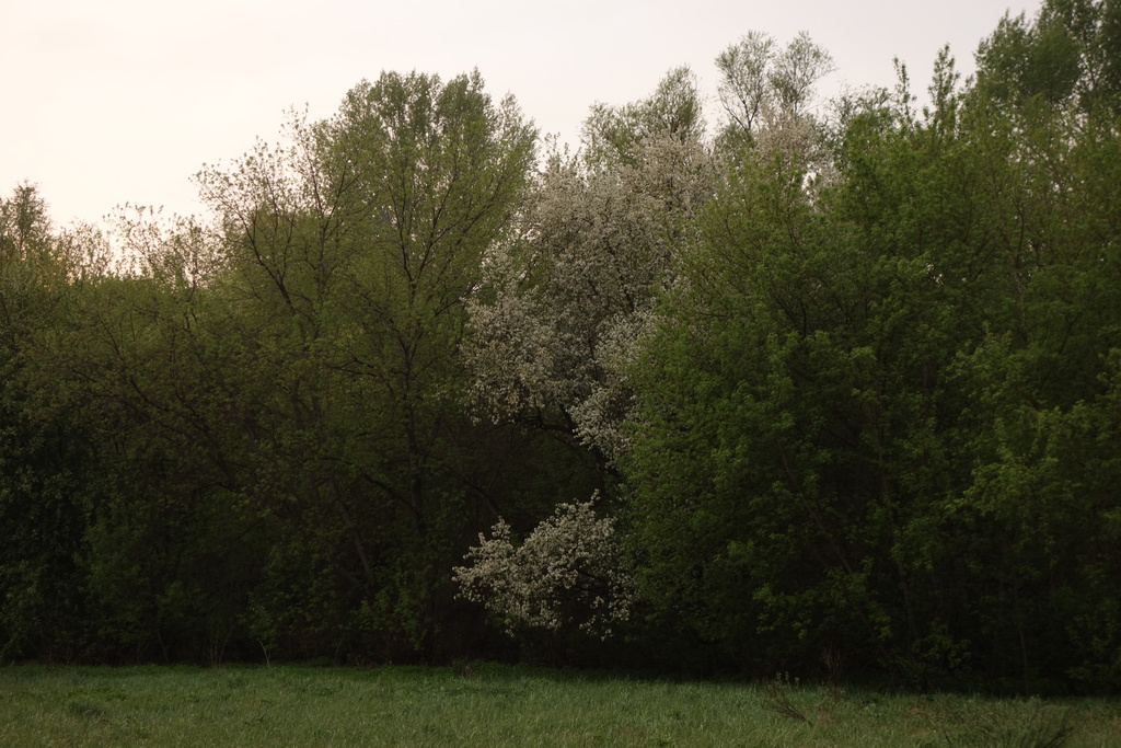 ������������� �����������