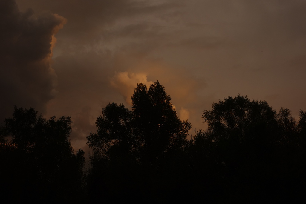 ������������� �����������