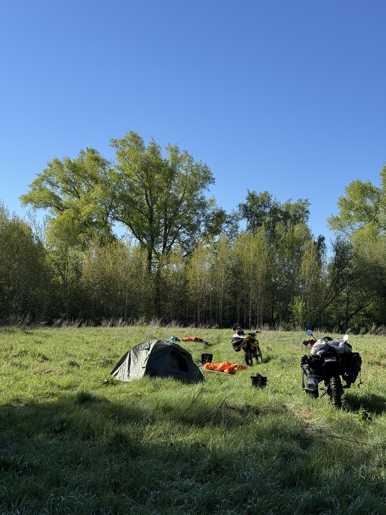 ������������� �����������