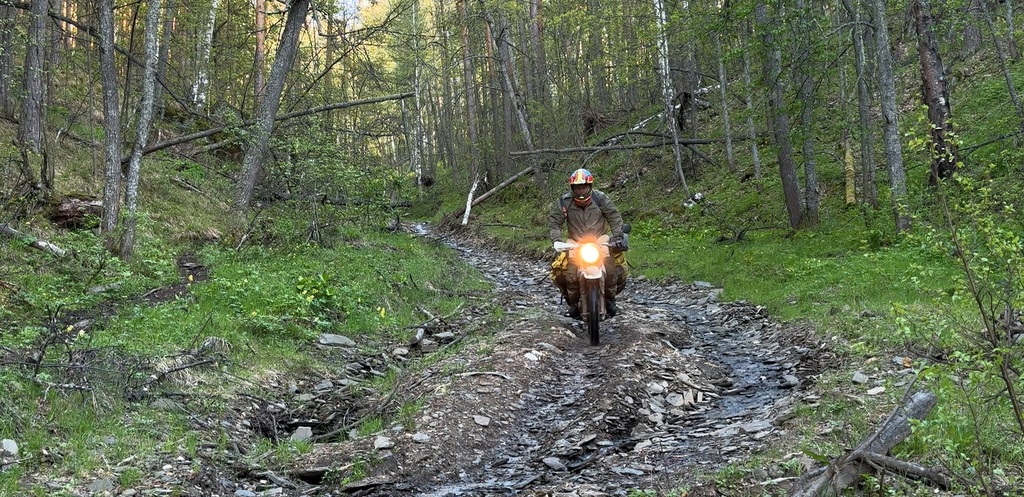 ������������� �����������