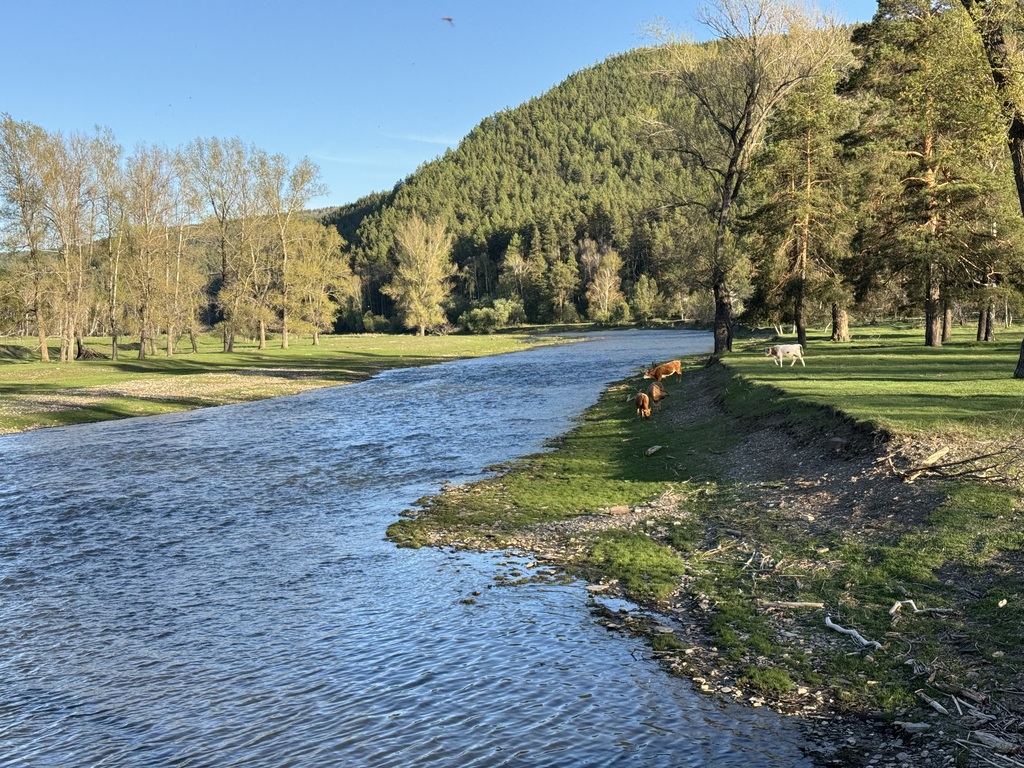 ������������� �����������