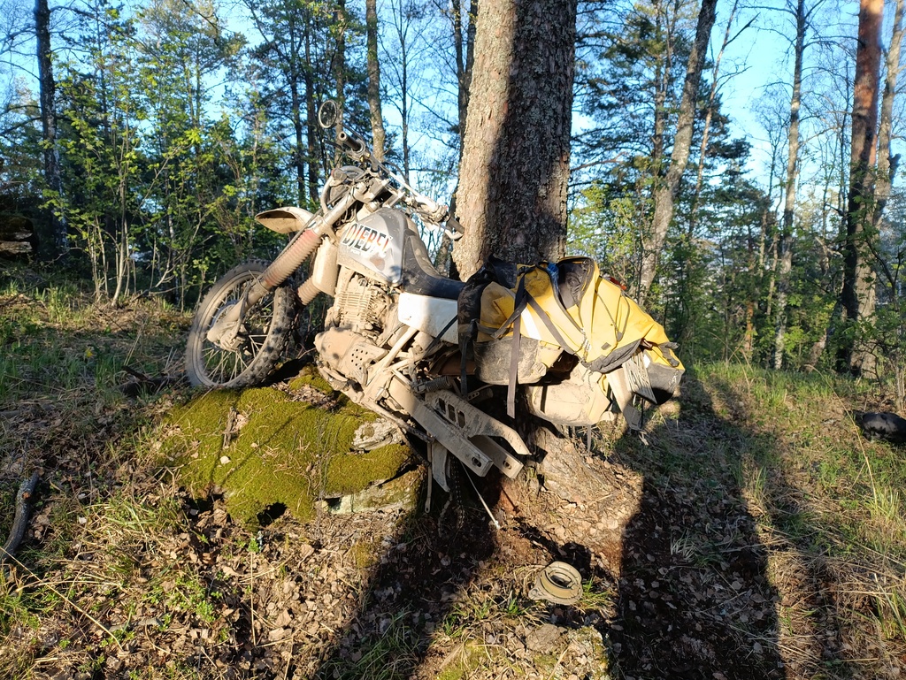 ������������� �����������