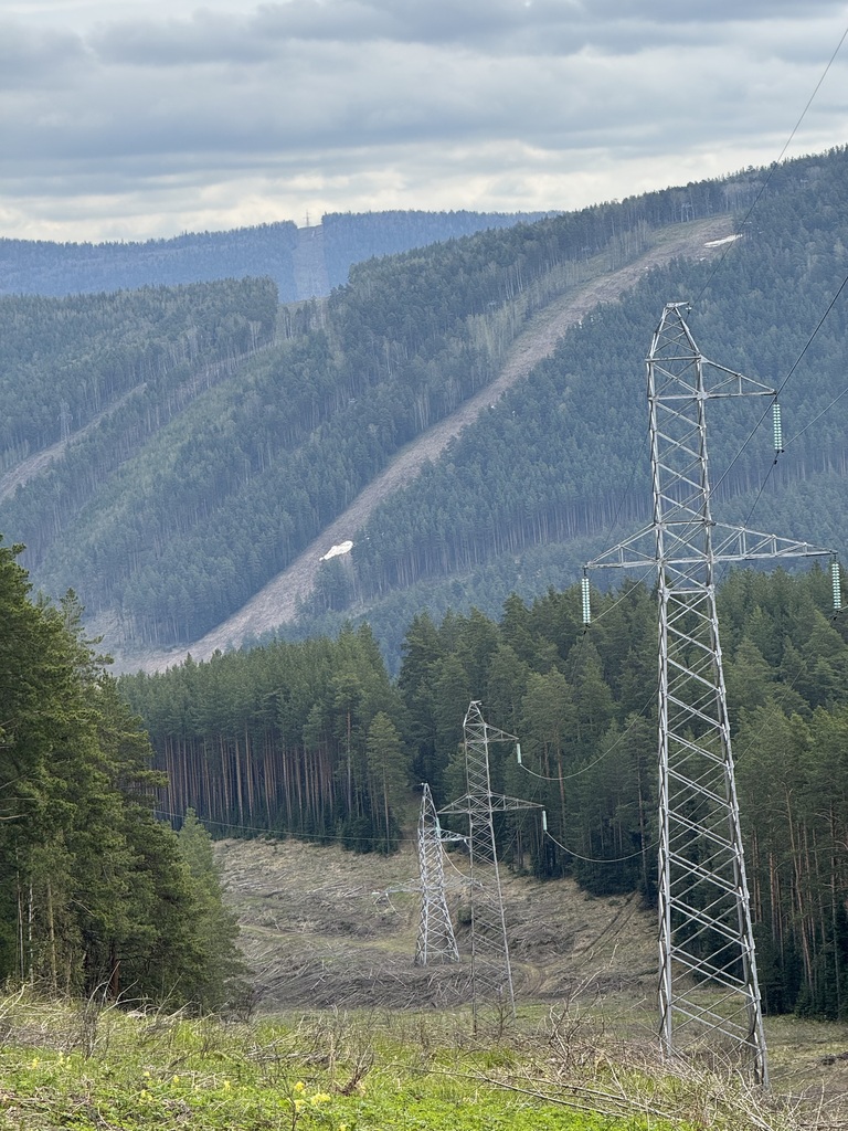 ������������� �����������