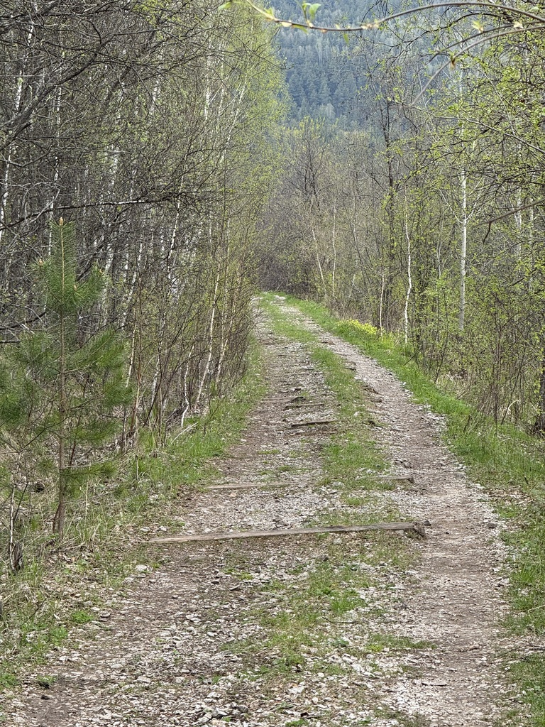 ������������� �����������