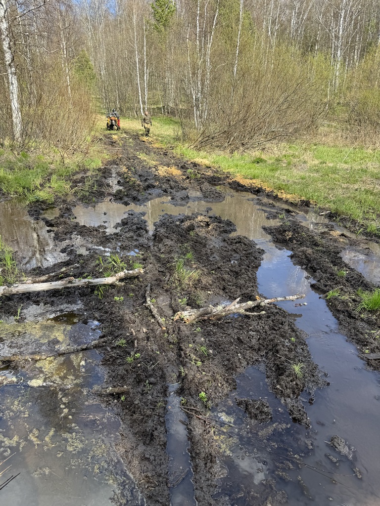 ������������� �����������