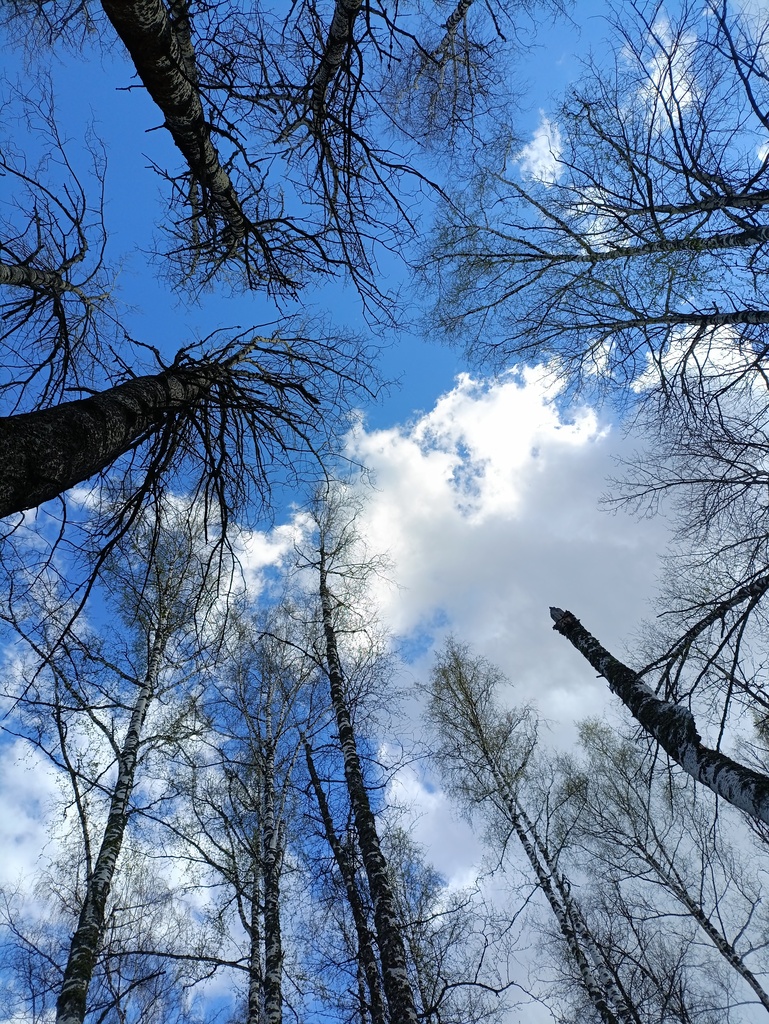 ������������� �����������