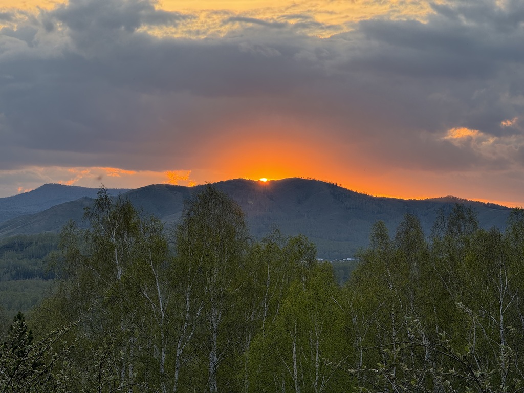 ������������� �����������