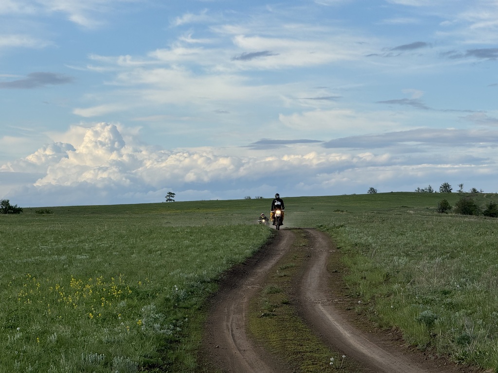 ������������� �����������