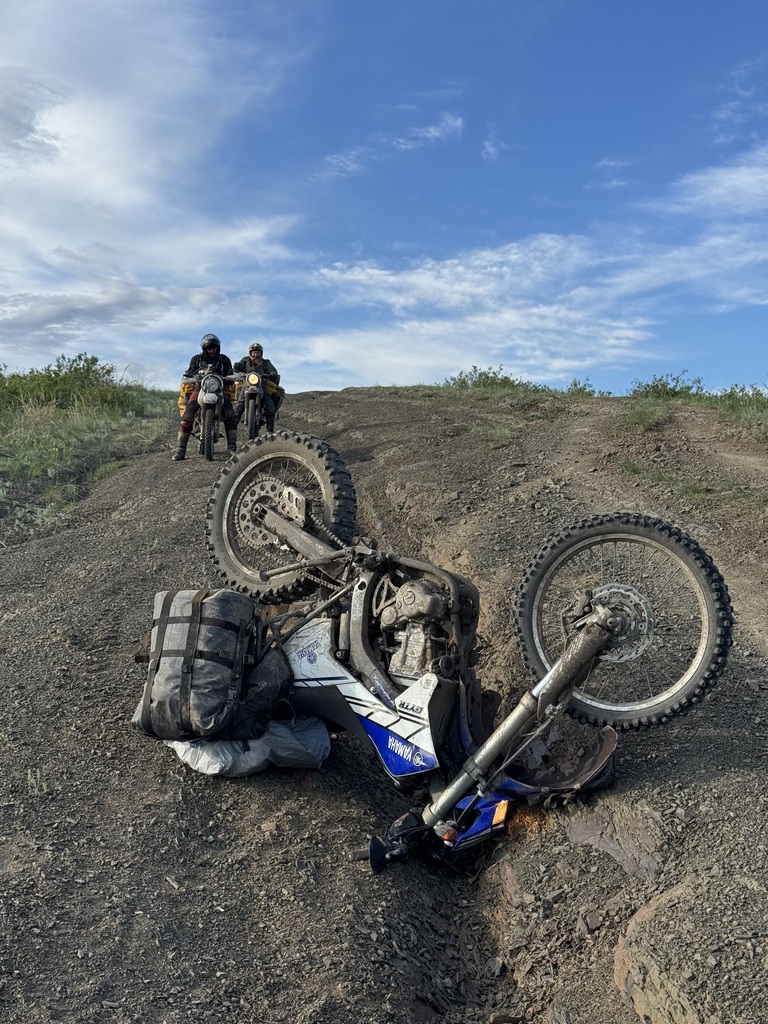 ������������� �����������