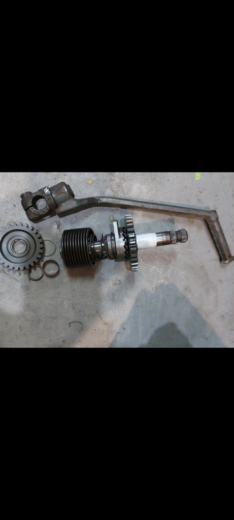 ������������� �����������