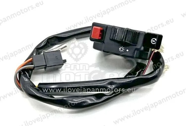 ������������� �����������